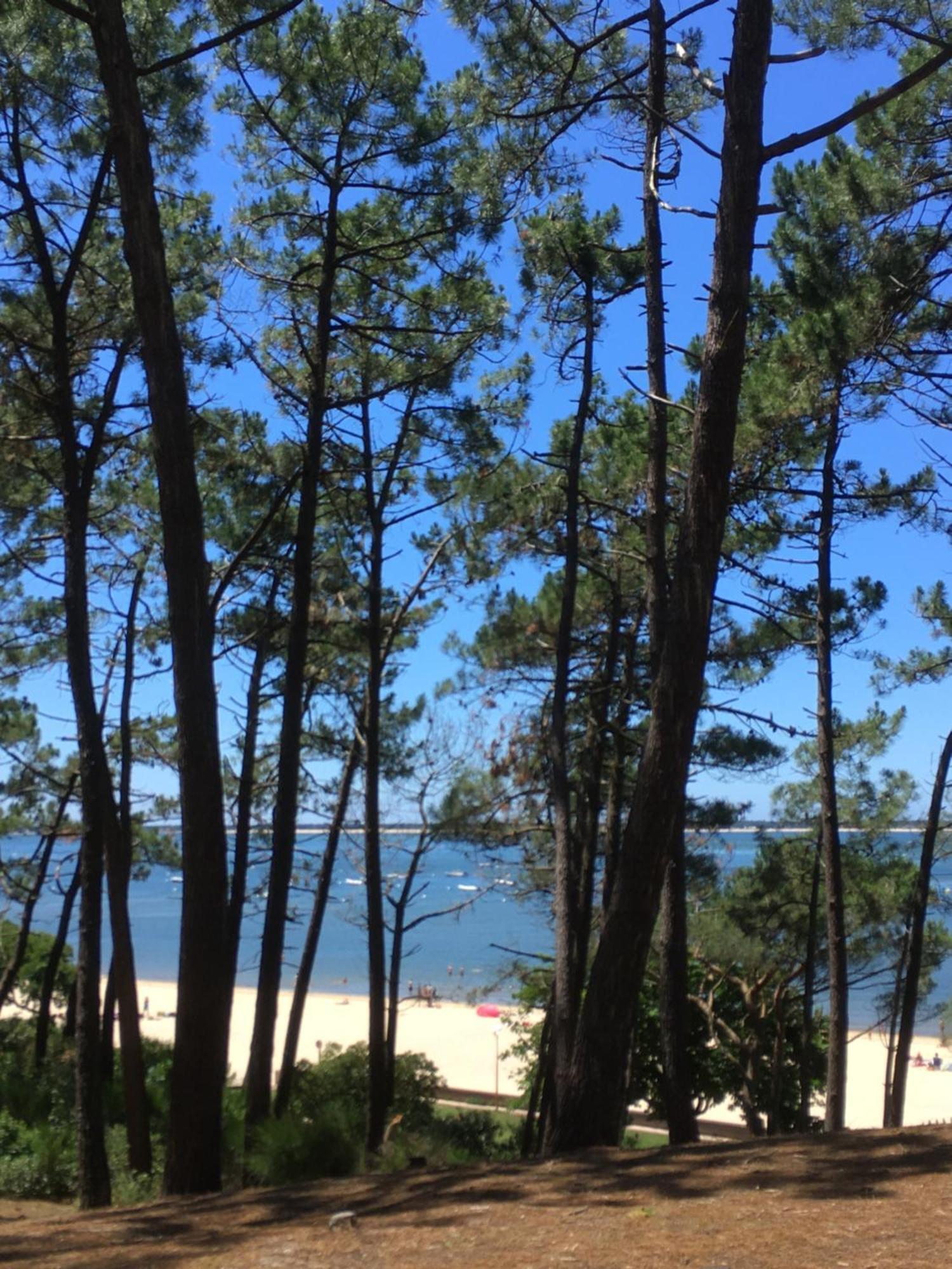 Appartement Spacieux Arcachon Luaran gambar